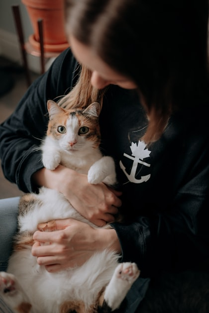 The Importance of Lifelong Cat Care